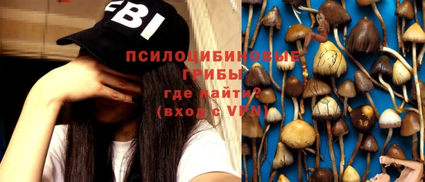 не бодяженный Михайлов