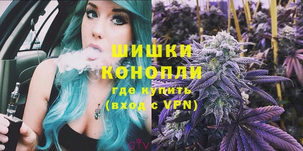 PSILOCYBIN Алзамай