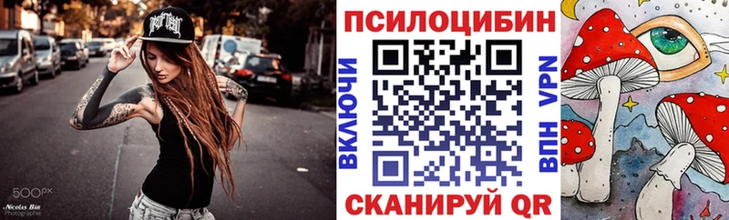 Галлюциногенные грибы мицелий  где продают   Александровское 